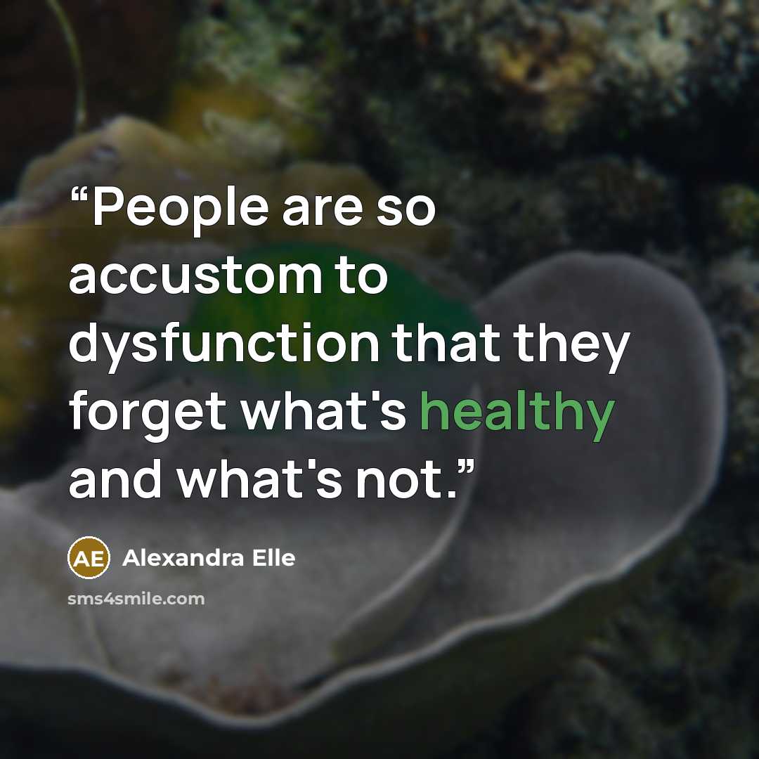 “People are so accustom to dysfunction that they forget what's healthy and what's not.” quote by Alexandra Elle
