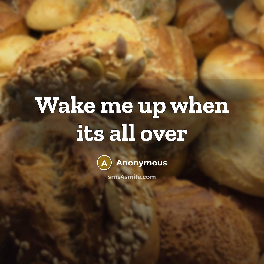 “Wake me up when its all over” quote by Anonymous