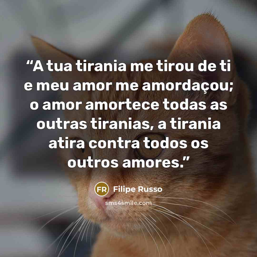 “A tua tirania me tirou de ti e meu amor me amordaçou; o amor amortece todas as outras tiranias, a tirania atira contra todos os outros amores.” quote by Filipe Russo