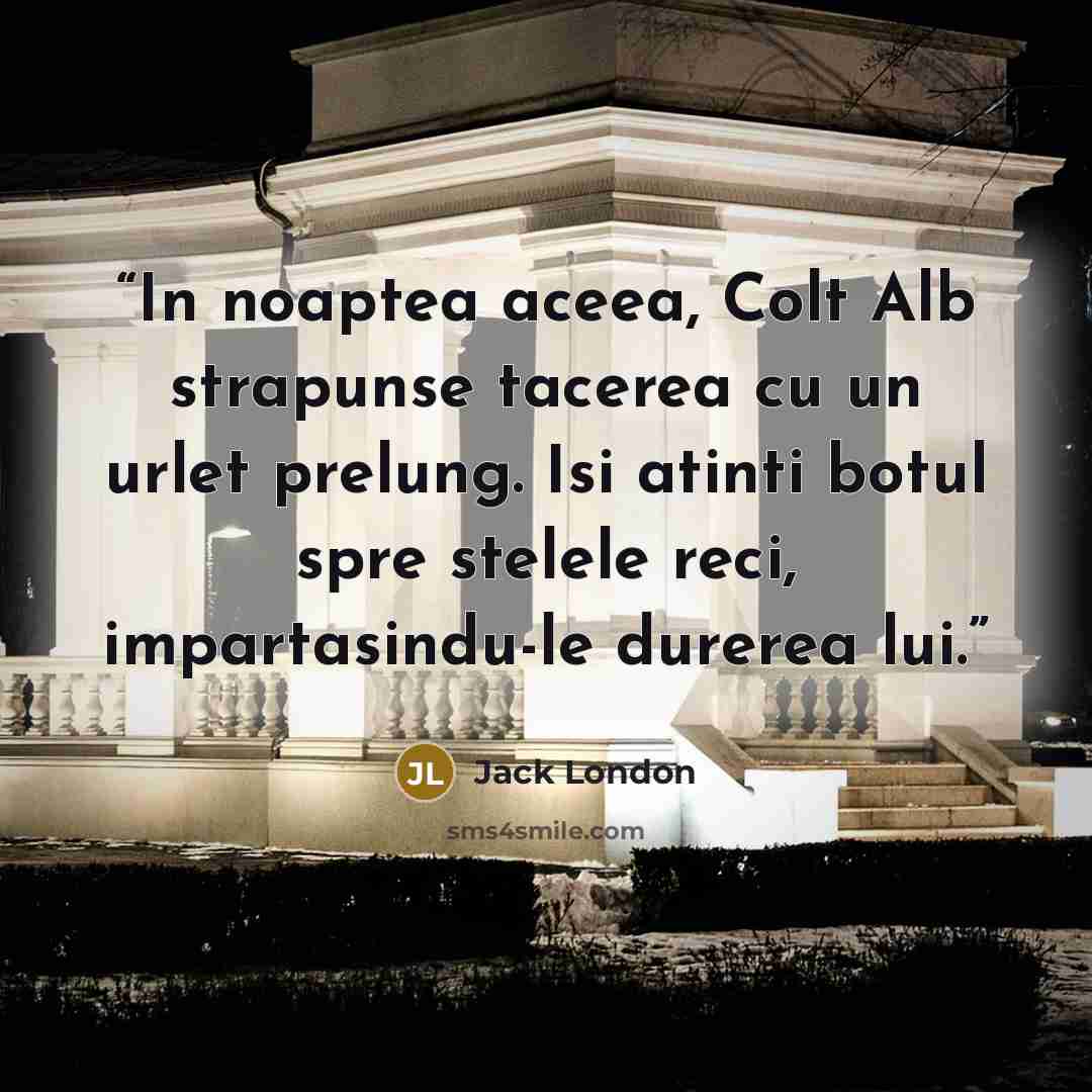 “In noaptea aceea, Colt Alb strapunse tacerea cu un urlet prelung. Isi atinti botul spre stelele reci, impartasindu-le durerea lui.” quote by Jack London