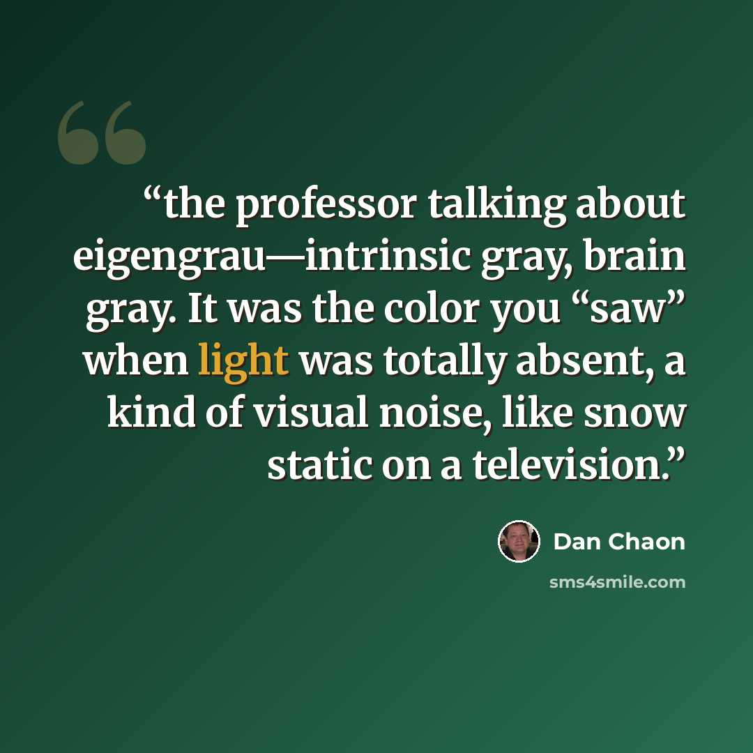 “the professor talking about eigengrau—intrinsic gray, brain gray. It was the color you “saw” when light was totally absent, a kind of visual noise, like snow static on a television.” quote by Dan Chaon