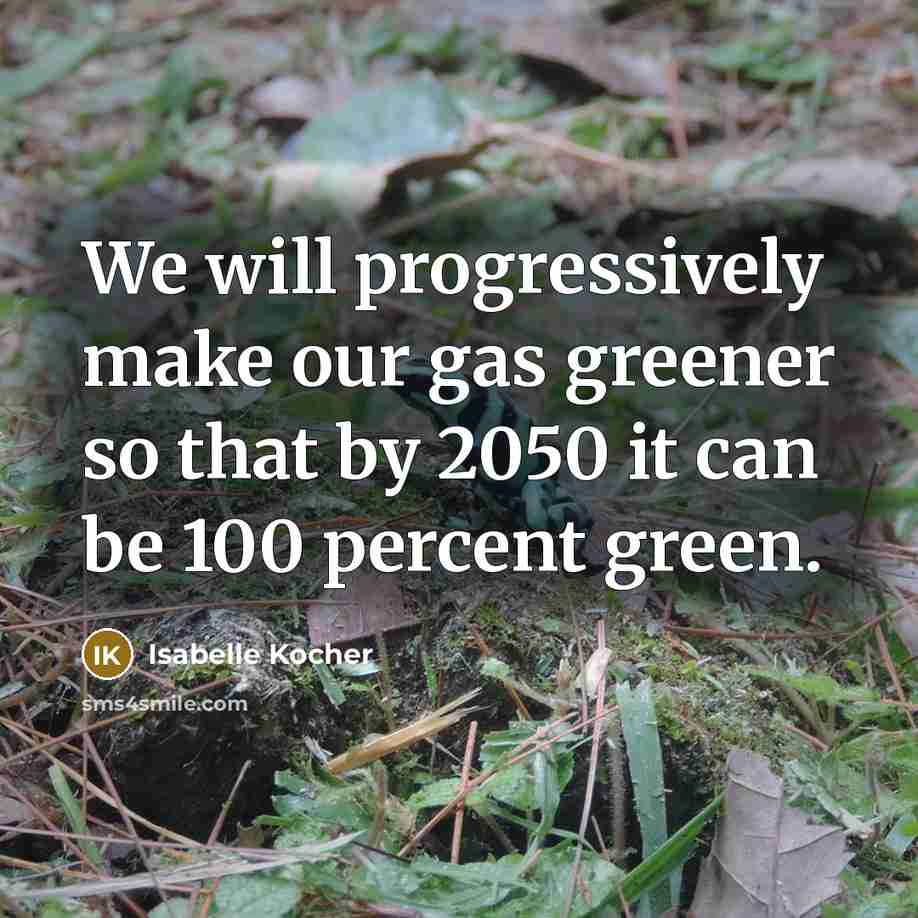 “We will progressively make our gas greener so that by 2050 it can be 100 percent green.” quote by Isabelle Kocher