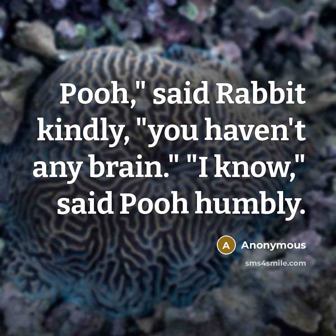 “Pooh," said Rabbit kindly, "you haven't any brain." "I know," said Pooh humbly.” quote by Anonymous