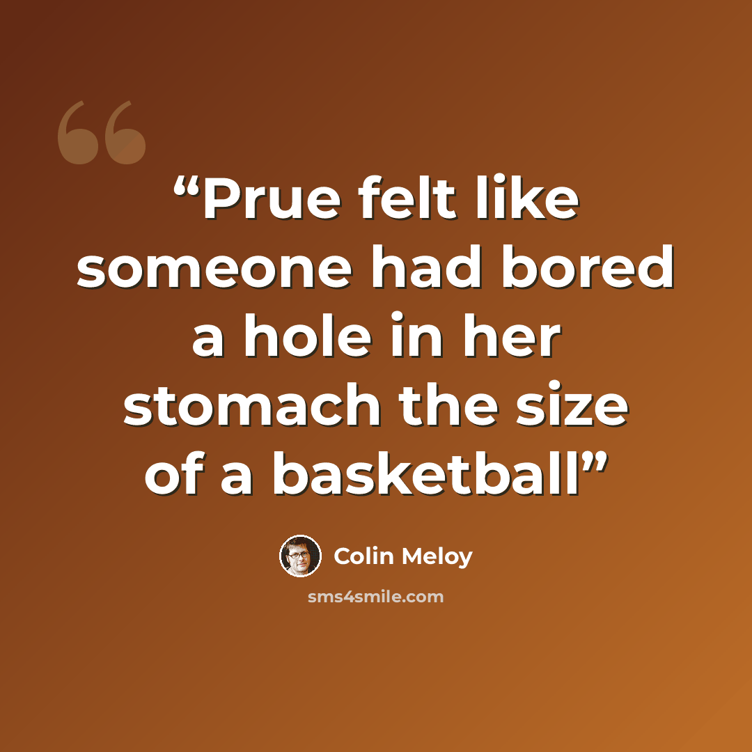 “Prue felt like someone had bored a hole in her stomach the size of a basketball” quote by Colin Meloy
