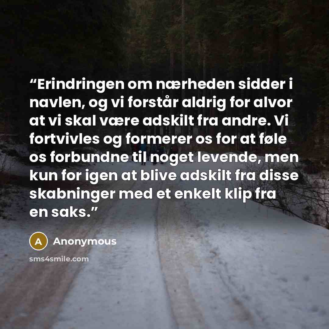 “Erindringen om nærheden sidder i navlen, og vi forstår aldrig for alvor at vi skal være adskilt fra andre. Vi fortvivles og formerer os for at føle os forbundne til noget levende, men kun for igen at blive adskilt fra disse skabninger med et enkelt klip fra en saks.” quote by Anonymous