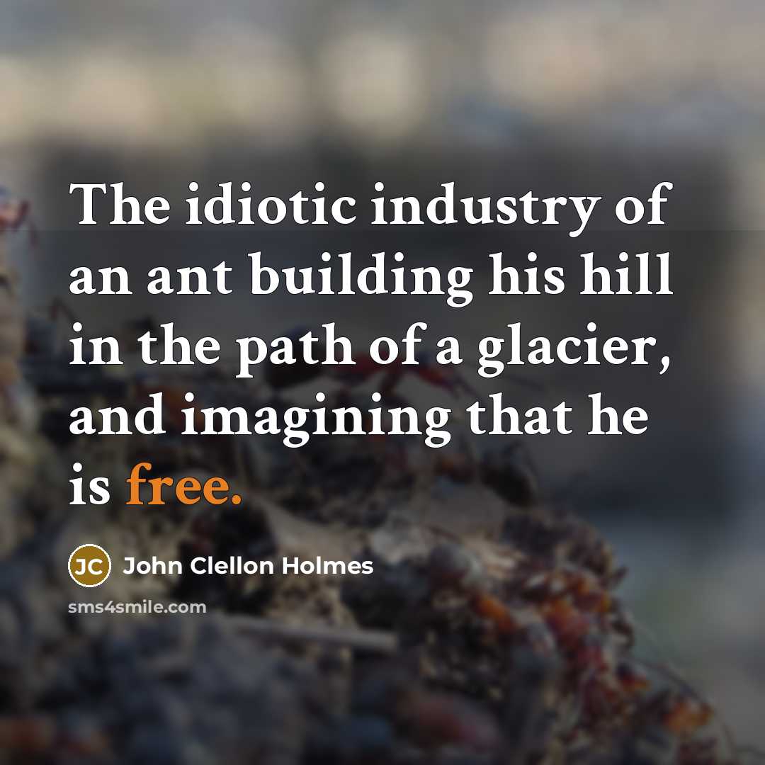 “The idiotic industry of an ant building his hill in the path of a glacier, and imagining that he is free.” quote by John Clellon Holmes