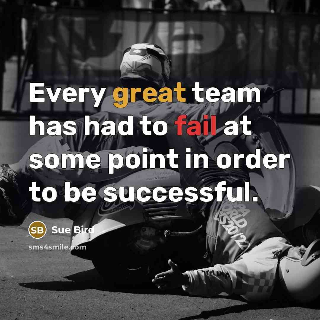 “Every great team has had to fail at some point in order to be successful.” quote by Sue Bird