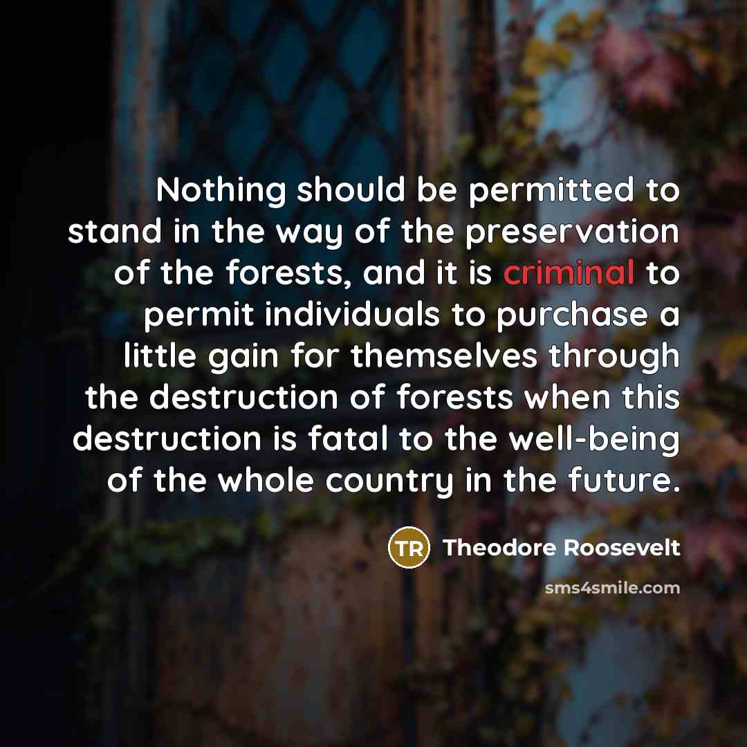 “Nothing should be permitted to stand in the way of the preservation of the forests, and it is criminal to permit individuals to purchase a little gain for themselves through the destruction of forests when this destruction is fatal to the well-being of the whole country in the future.” quote by Theodore Roosevelt