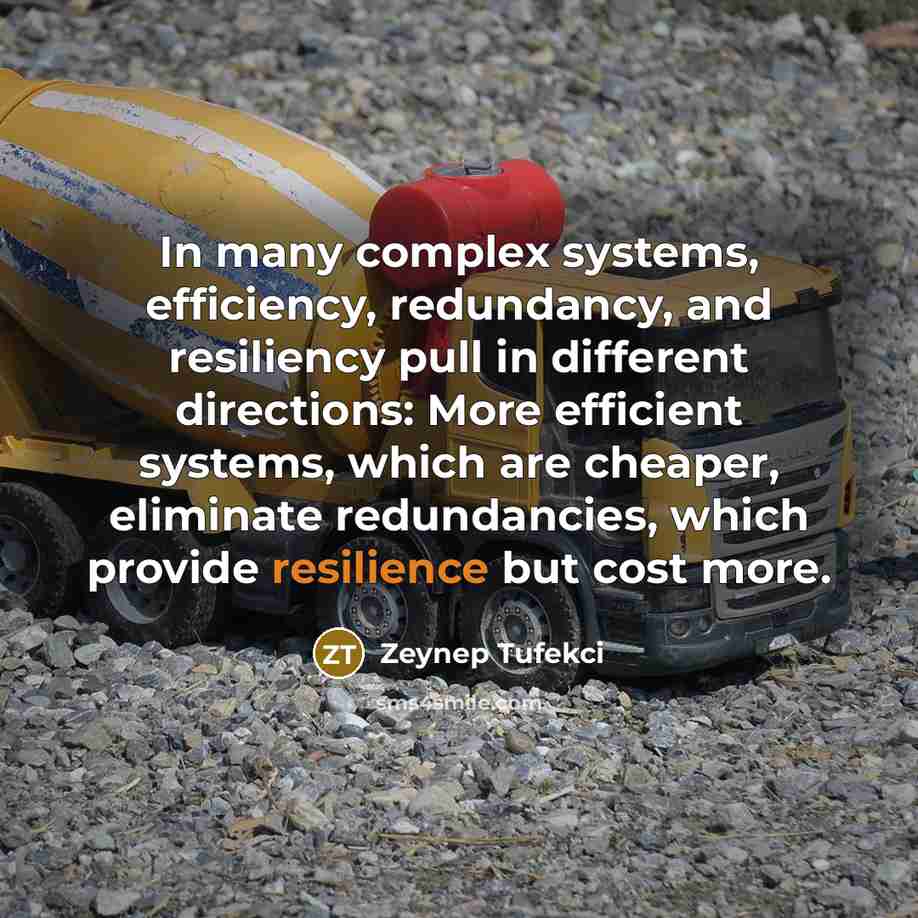 “In many complex systems, efficiency, redundancy, and resiliency pull in different directions: More efficient systems, which are cheaper, eliminate redundancies, which provide resilience but cost more.” quote by Zeynep Tufekci