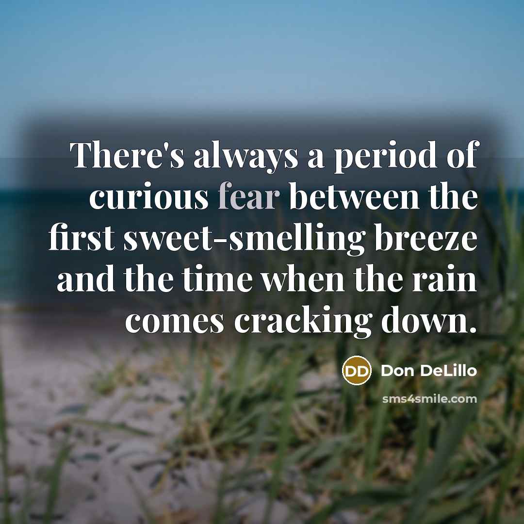 “There's always a period of curious fear between the first sweet-smelling breeze and the time when the rain comes cracking down.” quote by Don DeLillo