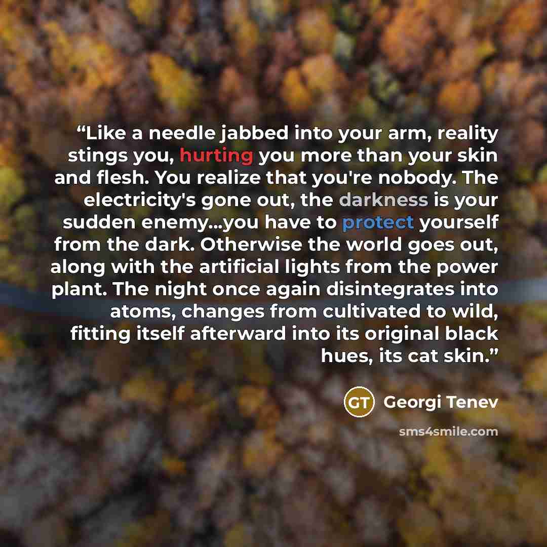“Like a needle jabbed into your arm, reality stings you, hurting you more than your skin and flesh. You realize that you're nobody. The electricity's gone out, the darkness is your sudden enemy...you have to protect yourself from the dark. Otherwise the world goes out, along with the artificial…” quote by Georgi Tenev