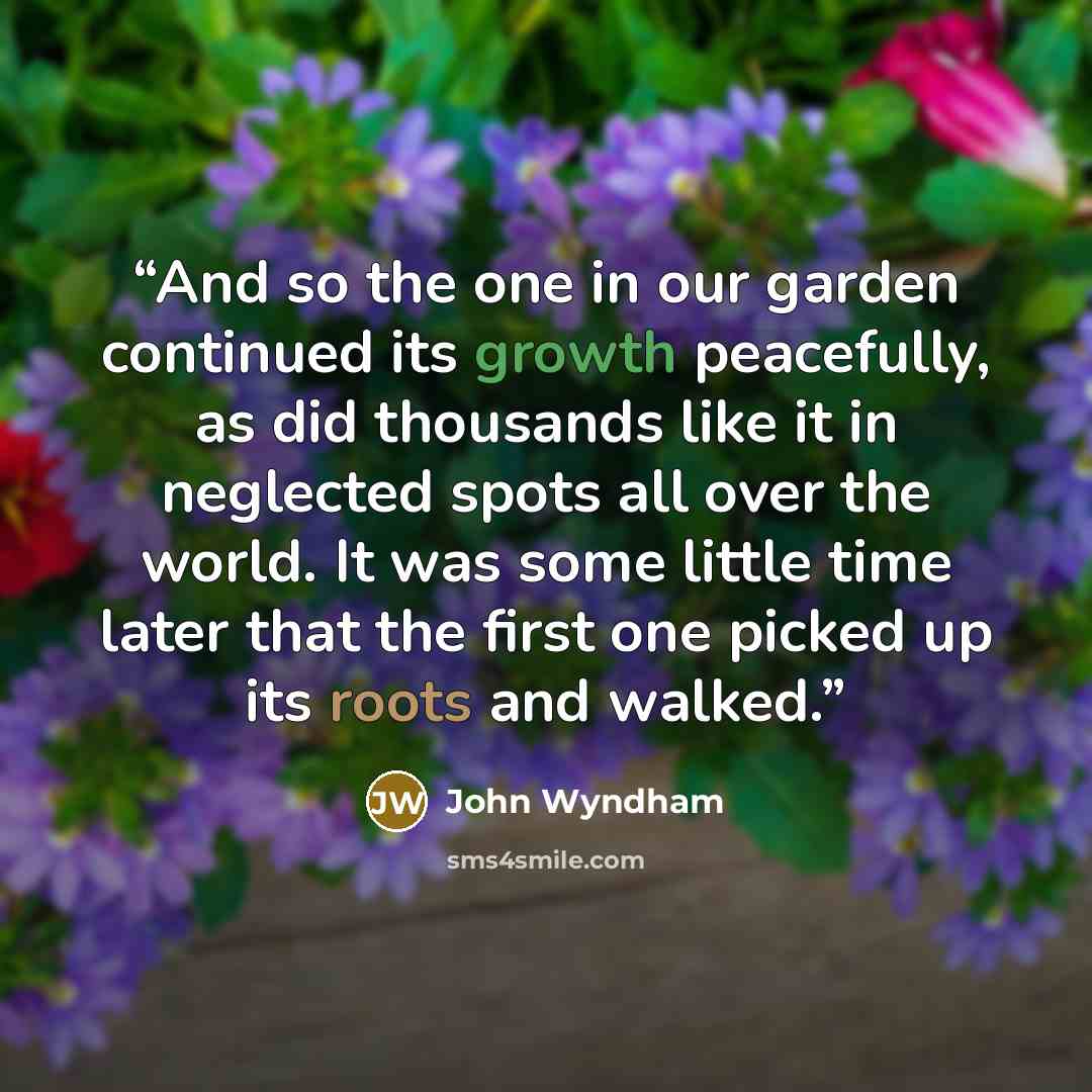“And so the one in our garden continued its growth peacefully, as did thousands like it in neglected spots all over the world. It was some little time later that the first one picked up its roots and walked.” quote by John Wyndham