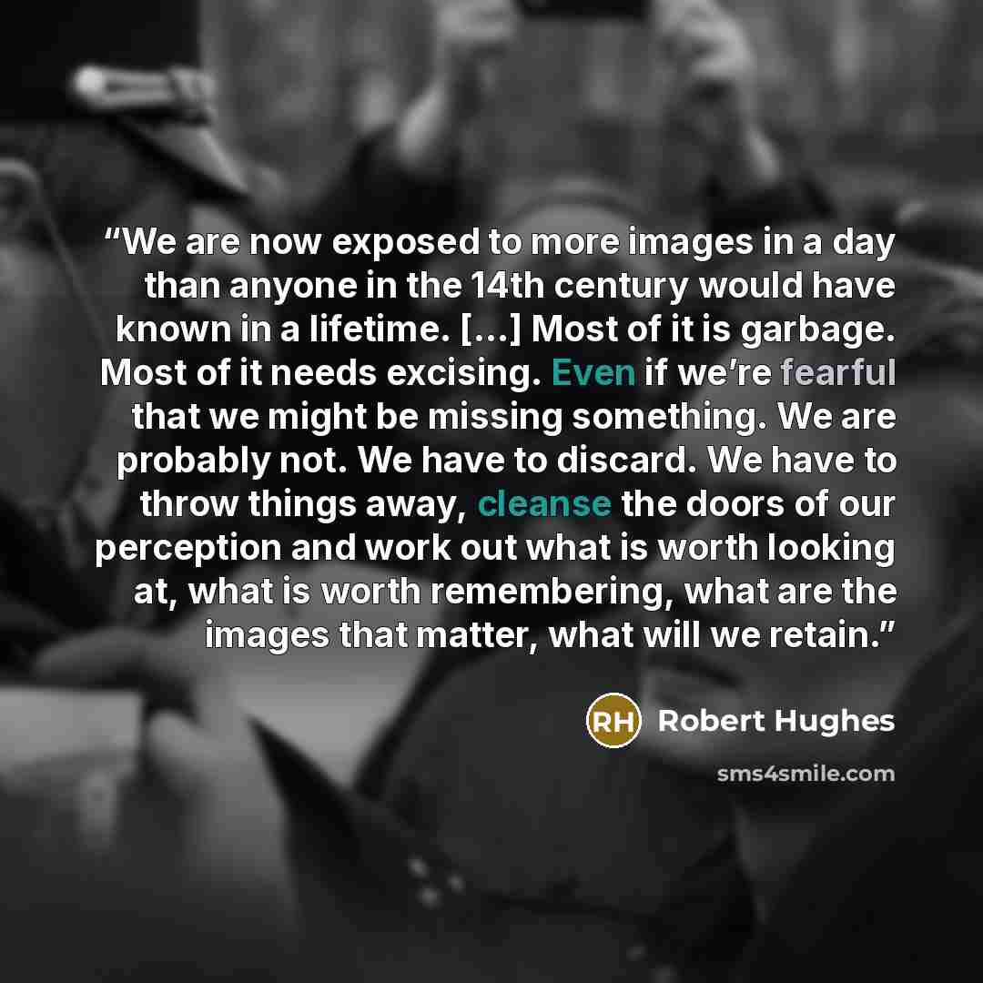 “We are now exposed to more images in a day than anyone in the 14th century would have known in a lifetime. [...] Most of it is garbage. Most of it needs excising. Even if we’re fearful that we might be missing something. We are probably not. We have to discard. We have to throw things away…” quote by Robert Hughes
