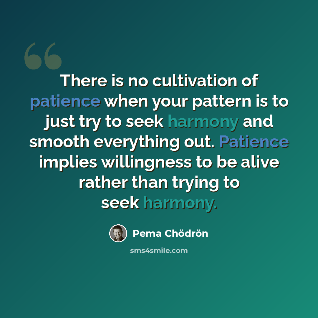 “There is no cultivation of patience when your pattern is to just try to seek harmony and smooth everything out. Patience implies willingness to be alive rather than trying to seek harmony.” quote by Pema Chodron