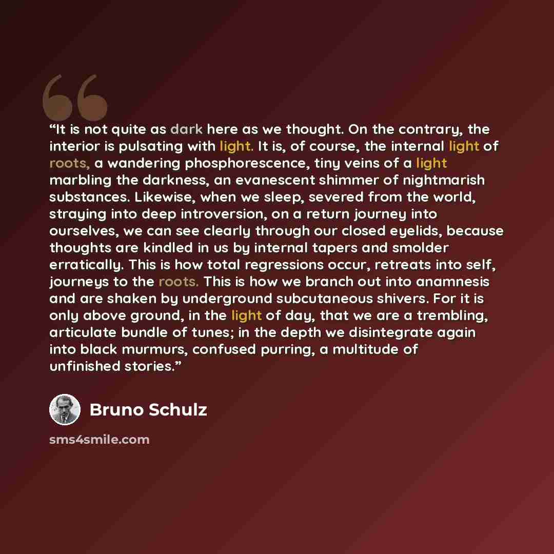 “It is not quite as dark here as we thought. On the contrary, the interior is pulsating with light. It is, of course, the internal light of roots, a wandering phosphorescence, tiny veins of a light marbling the darkness, an evanescent shimmer of nightmarish substances. Likewise, when we sleep…” quote by Bruno Schulz
