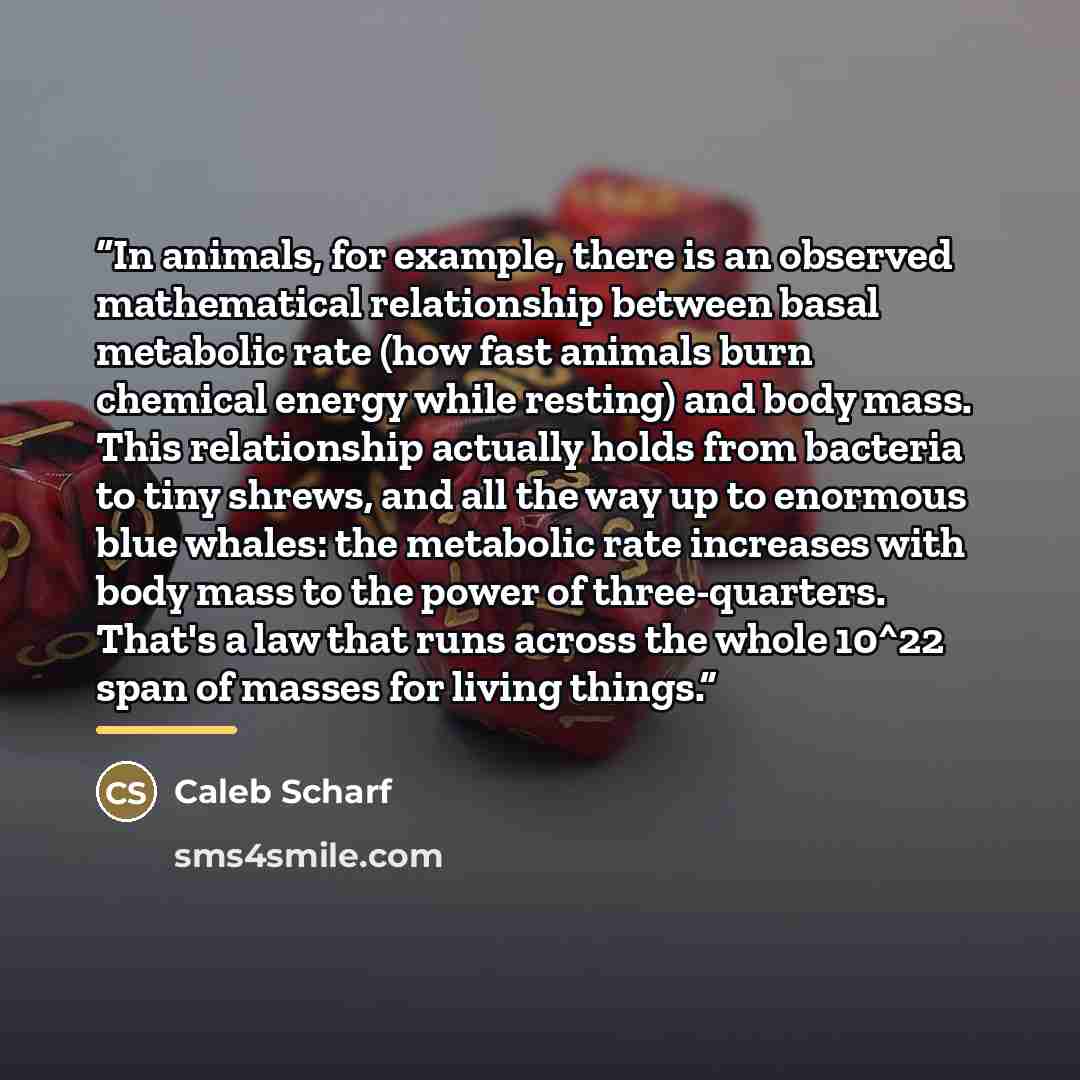 “In animals, for example, there is an observed mathematical relationship between basal metabolic rate (how fast animals burn chemical energy while resting) and body mass. This relationship actually holds from bacteria to tiny shrews, and all the way up to enormous blue whales: the metabolic rate…” quote by Caleb Scharf
