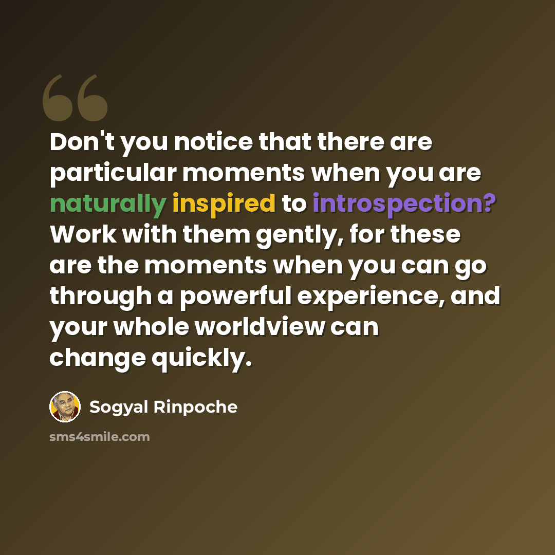 “Don't you notice that there are particular moments when you are naturally inspired to introspection? Work with them gently, for these are the moments when you can go through a powerful experience, and your whole worldview can change quickly.” quote by Sogyal Rinpoche