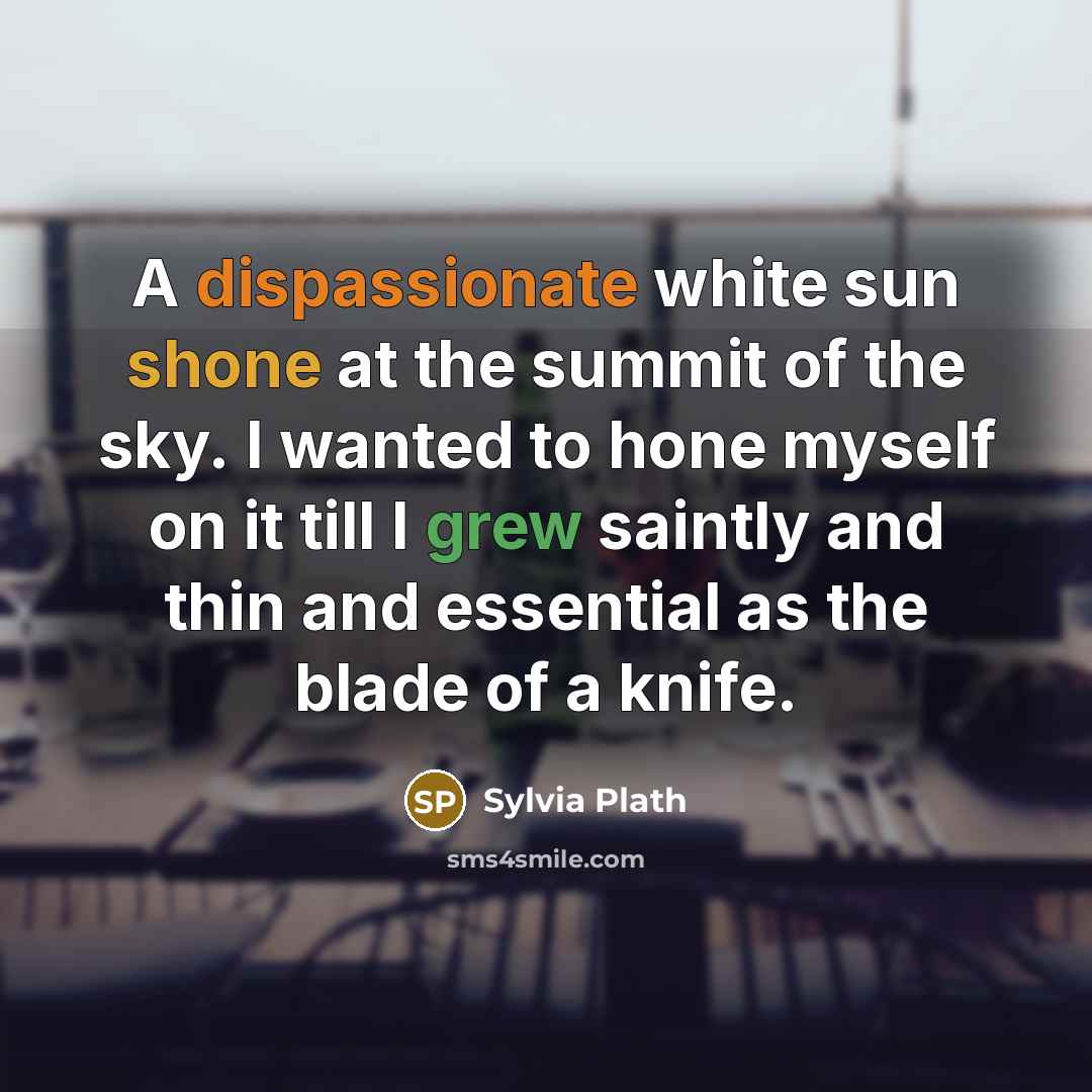 “A dispassionate white sun shone at the summit of the sky. I wanted to hone myself on it till I grew saintly and thin and essential as the blade of a knife.” quote by Sylvia Plath