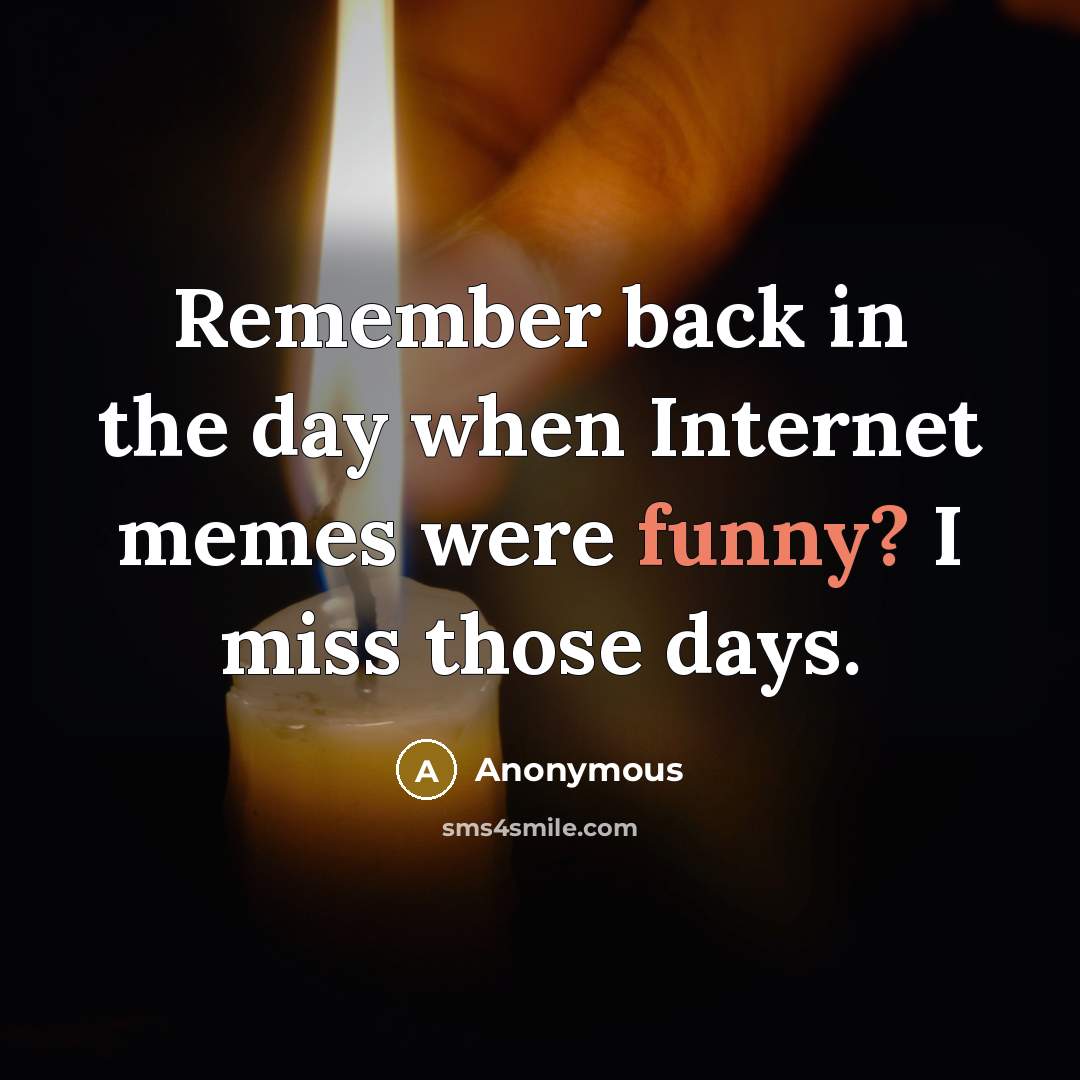 “Remember back in the day when Internet memes were funny? I miss those days.” quote by Anonymous