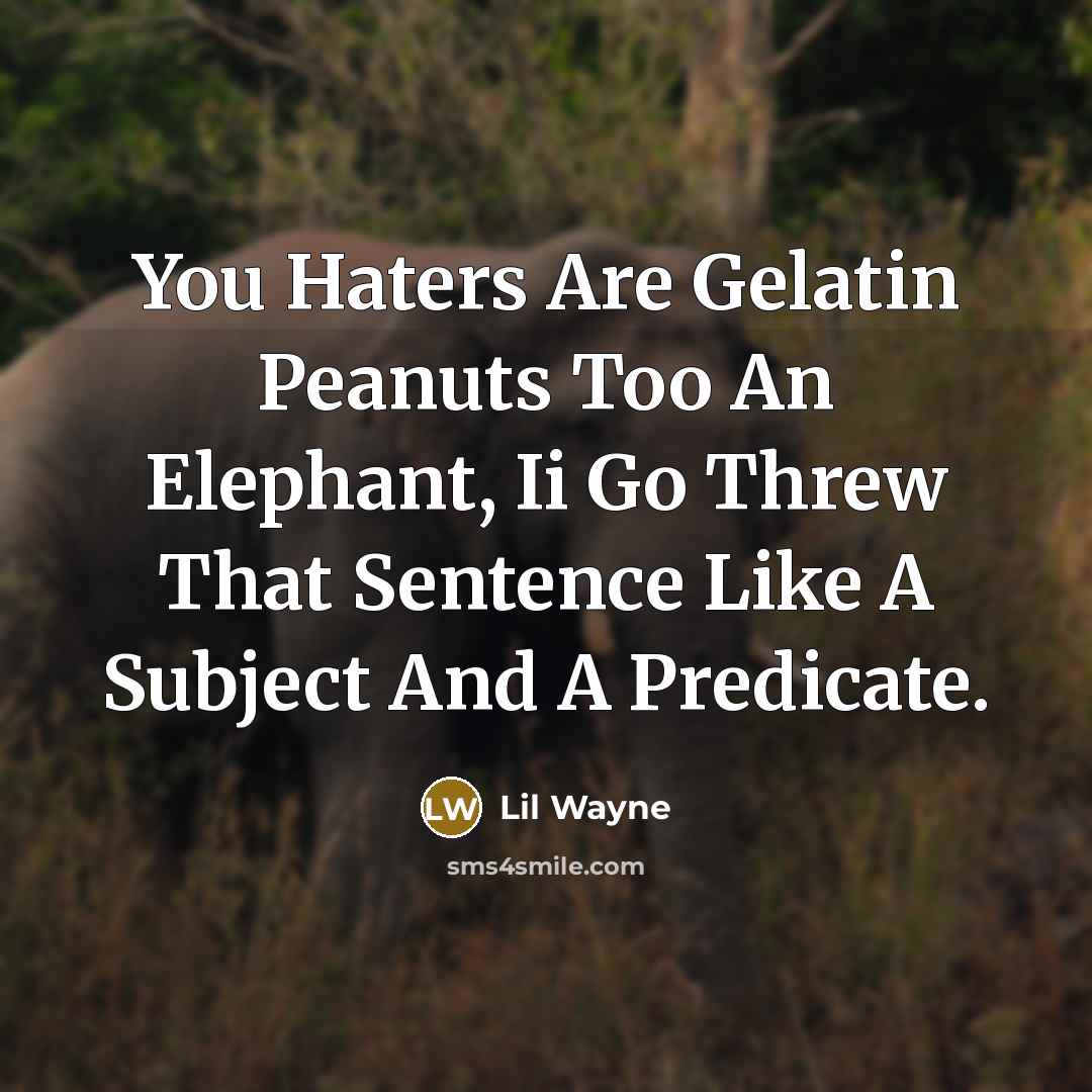 “You Haters Are Gelatin Peanuts Too An Elephant, Ii Go Threw That Sentence Like A Subject And A Predicate.” quote by Lil Wayne