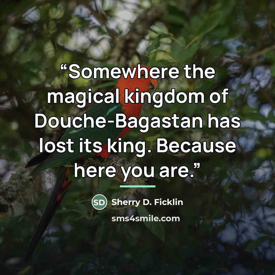“Somewhere the magical kingdom of Douche-Bagastan has lost its king. Because here you are.” quote by Sherry D. Ficklin