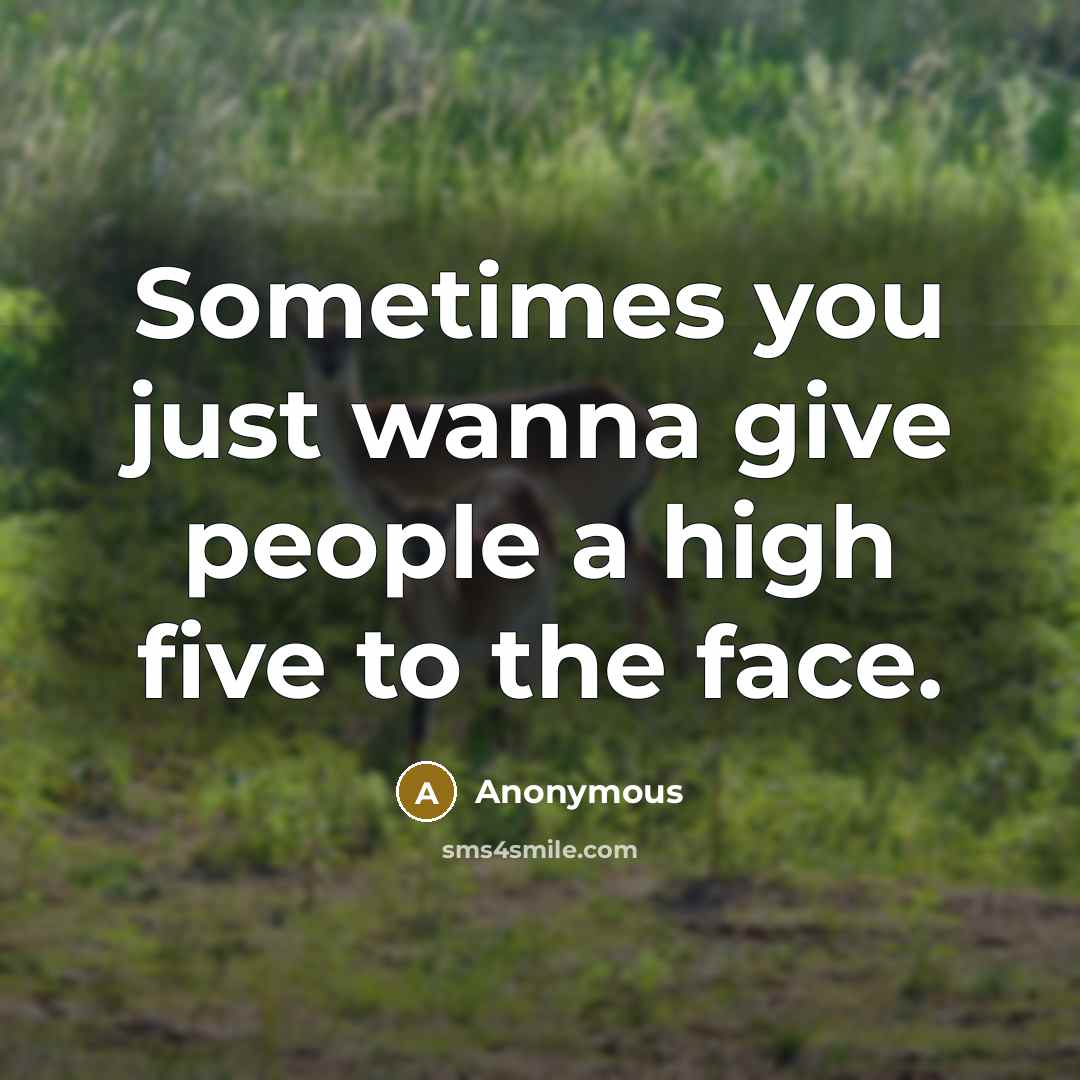 “Sometimes you just wanna give people a high five to the face.” quote by Anonymous