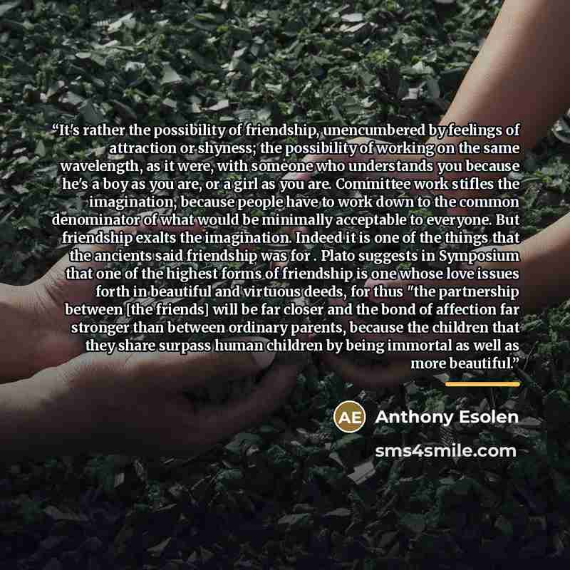 “It's rather the possibility of friendship, unencumbered by feelings of attraction or shyness; the possibility of working on the same wavelength, as it were, with someone who understands you because he's a boy as you are, or a girl as you are. Committee work stifles the imagination, because people…” quote by Anthony Esolen