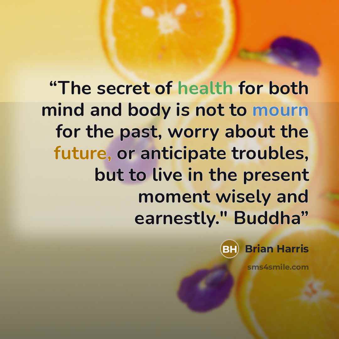 “The secret of health for both mind and body is not to mourn for the past, worry about the future, or anticipate troubles, but to live in the present moment wisely and earnestly." Buddha” quote by Brian Harris