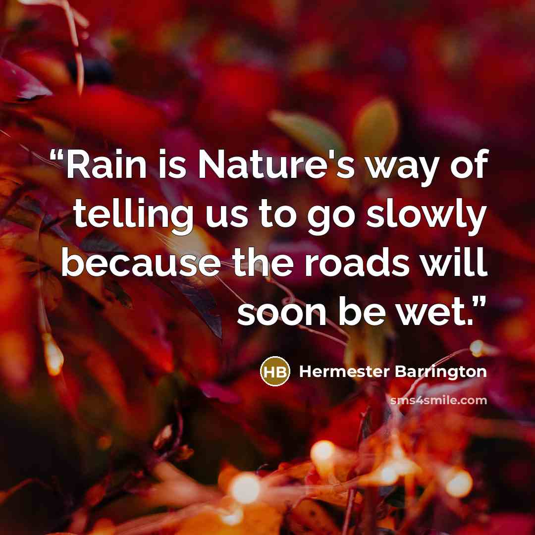 “Rain is Nature's way of telling us to go slowly because the roads will soon be wet.” quote by Hermester Barrington