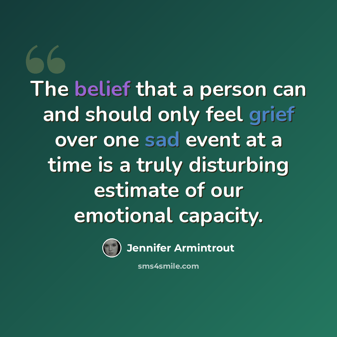 “The belief that a person can and should only feel grief over one sad event at a time is a truly disturbing estimate of our emotional capacity.” quote by Jennifer Armintrout