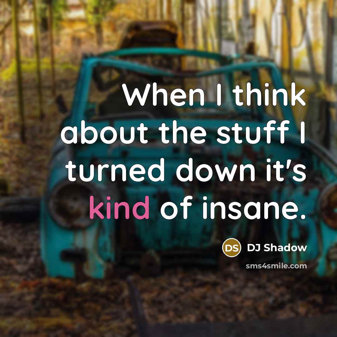 “When I think about the stuff I turned down it's kind of insane.” quote by DJ Shadow