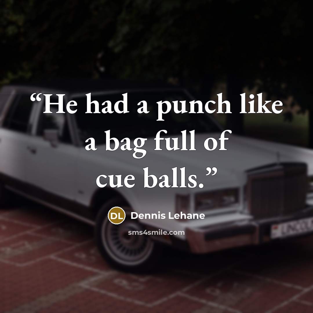 “He had a punch like a bag full of cue balls.” quote by Dennis Lehane