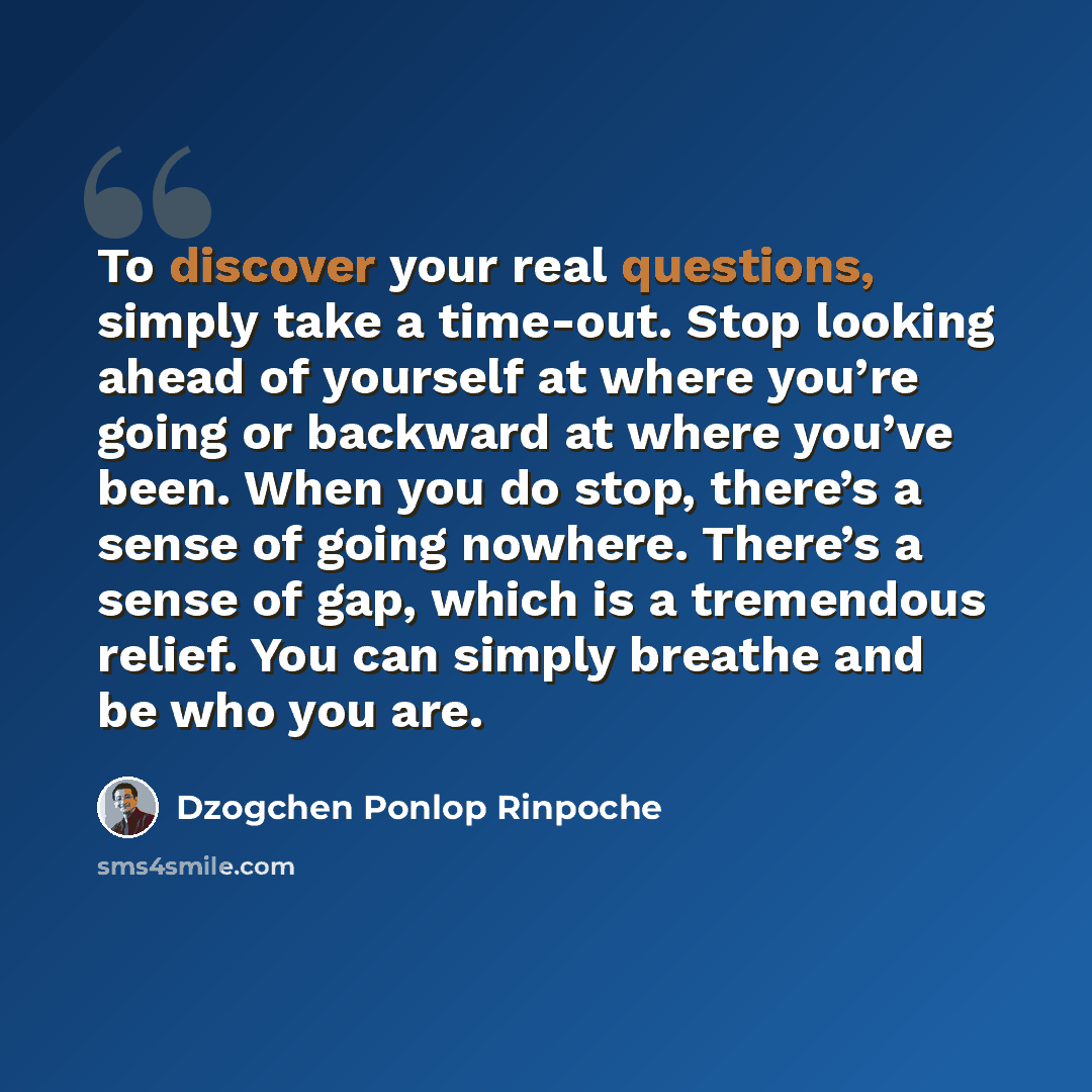 “To discover your real questions, simply take a time-out. Stop looking ahead of yourself at where you’re going or backward at where you’ve been. When you do stop, there’s a sense of going nowhere. There’s a sense of gap, which is a tremendous relief. You can simply breathe and be who you are.” quote by Dzogchen Ponlop Rinpoche