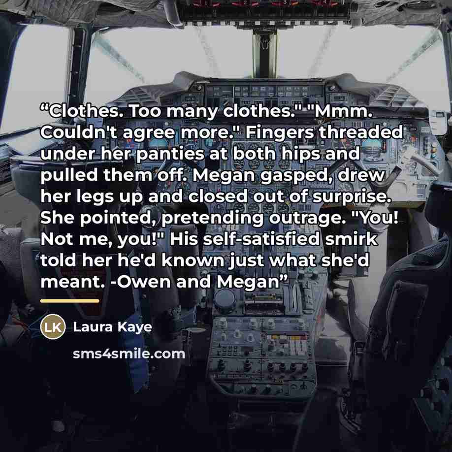 “Clothes. Too many clothes." "Mmm. Couldn't agree more." Fingers threaded under her panties at both hips and pulled them off. Megan gasped, drew her legs up and closed out of surprise. She pointed, pretending outrage. "You! Not me, you!" His self-satisfied smirk told her he'd known just what she'd…” quote by Laura Kaye