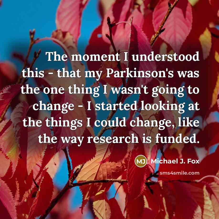 “The moment I understood this - that my Parkinson's was the one thing I wasn't going to change - I started looking at the things I could change, like the way research is funded.” quote by Michael J. Fox