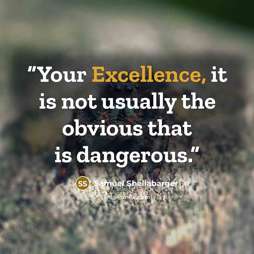 “Your Excellence, it is not usually the obvious that is dangerous.” quote by Samuel Shellabarger