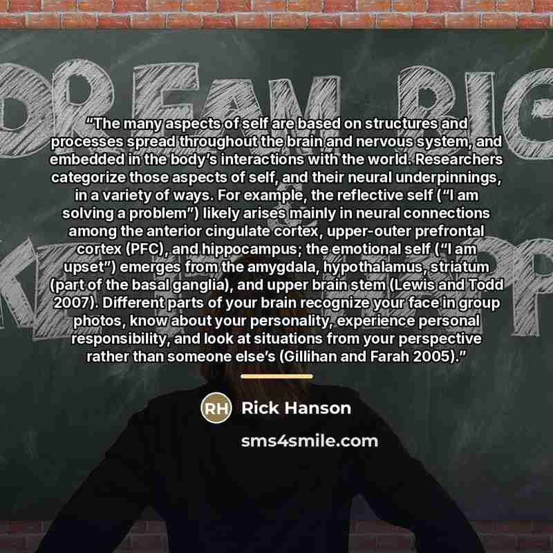 “The many aspects of self are based on structures and processes spread throughout the brain and nervous system, and embedded in the body’s interactions with the world. Researchers categorize those aspects of self, and their neural underpinnings, in a variety of ways. For example, the reflective…” quote by Rick Hanson