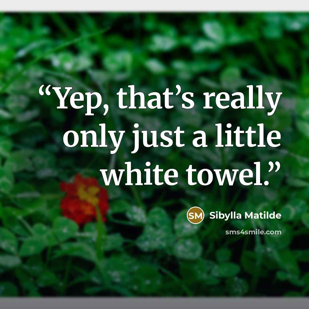 “Yep, that’s really only just a little white towel.” quote by Sibylla Matilde