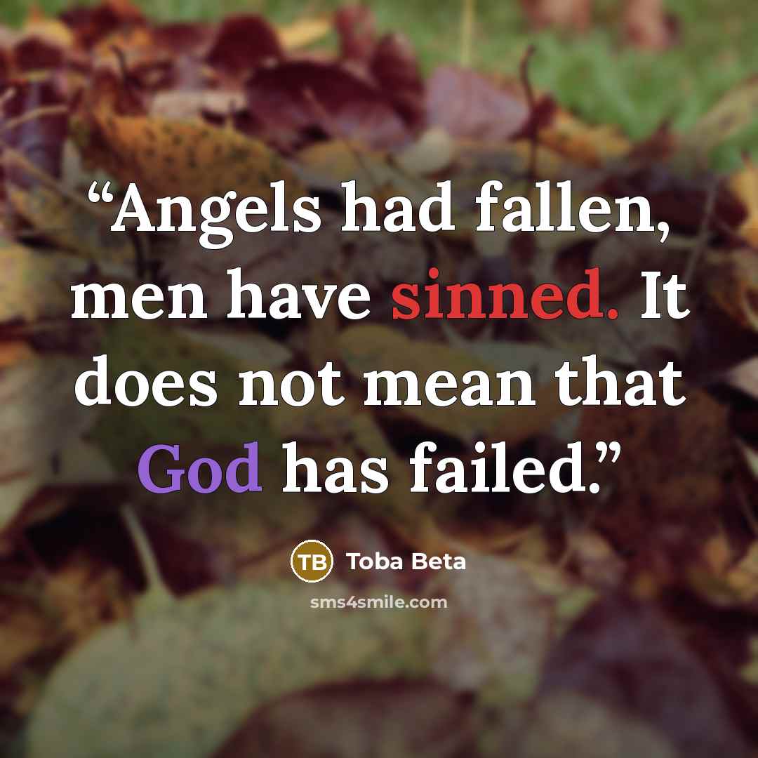 “Angels had fallen, men have sinned. It does not mean that God has failed.” quote by Toba Beta