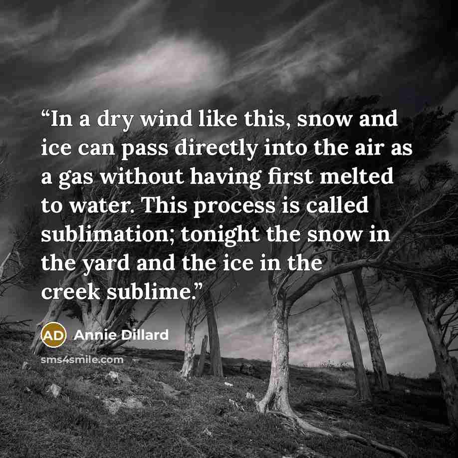 “In a dry wind like this, snow and ice can pass directly into the air as a gas without having first melted to water. This process is called sublimation; tonight the snow in the yard and the ice in the creek sublime.” quote by Annie Dillard