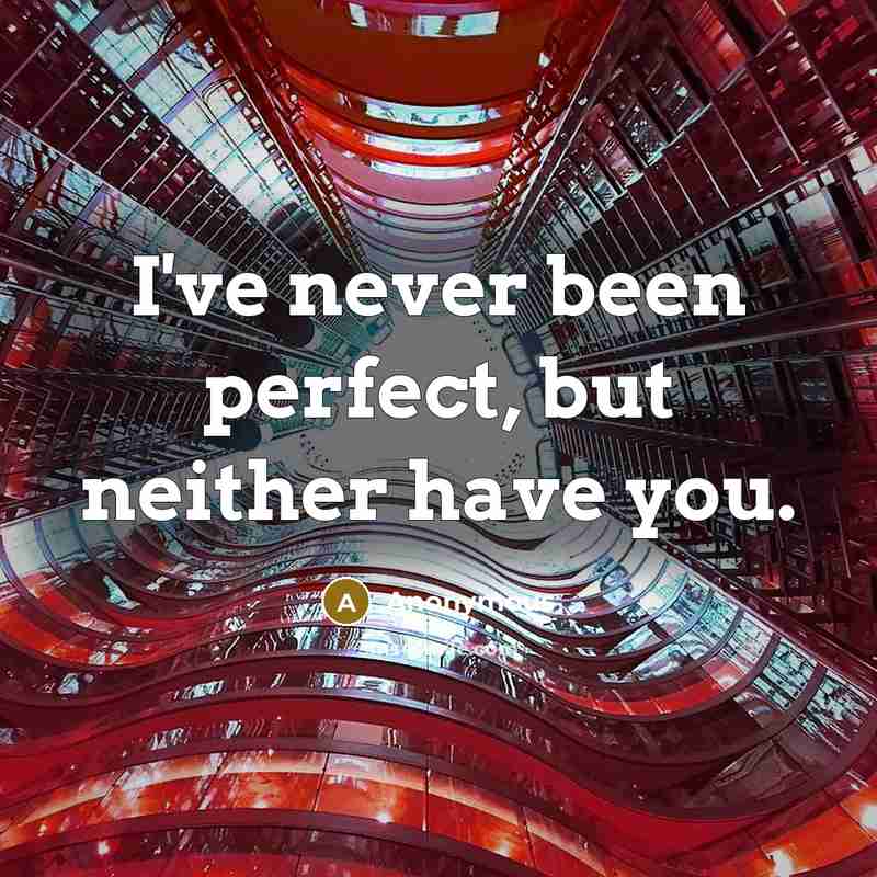 “I've never been perfect, but neither have you.” quote by Anonymous
