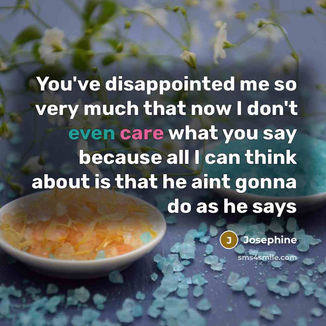 “You've disappointed me so very much that now I don't even care what you say because all I can think about is that he aint gonna do as he says” quote by Josephine