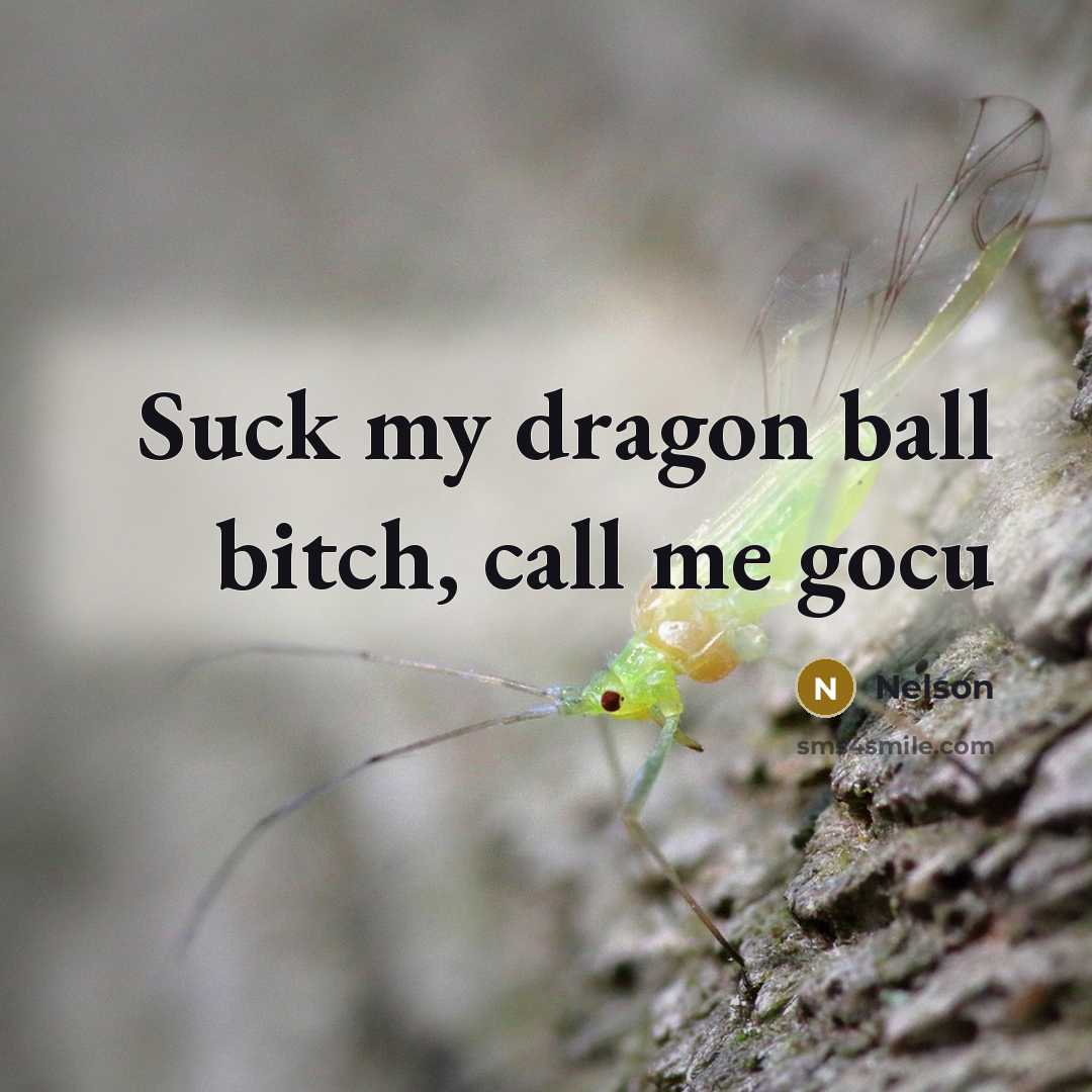 “Suck my dragon ball bitch, call me gocu” quote by Nelson