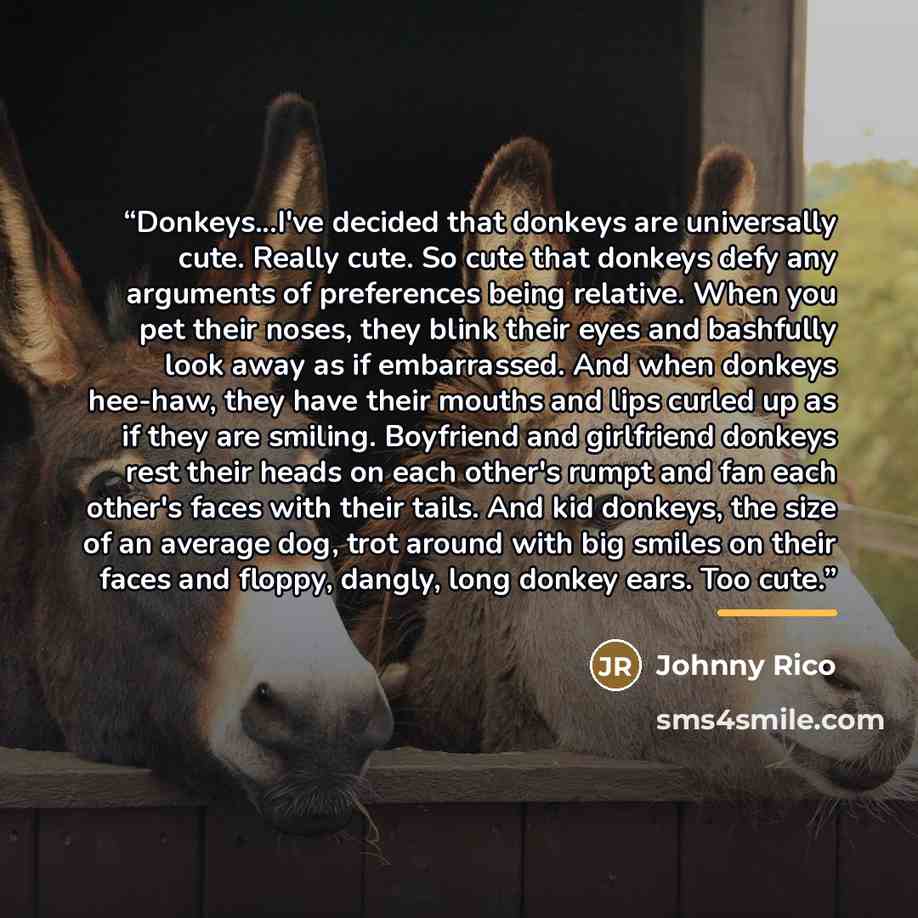 “Donkeys...I've decided that donkeys are universally cute. Really cute. So cute that donkeys defy any arguments of preferences being relative. When you pet their noses, they blink their eyes and bashfully look away as if embarrassed. And when donkeys hee-haw, they have their mouths and lips curled…” quote by Johnny Rico