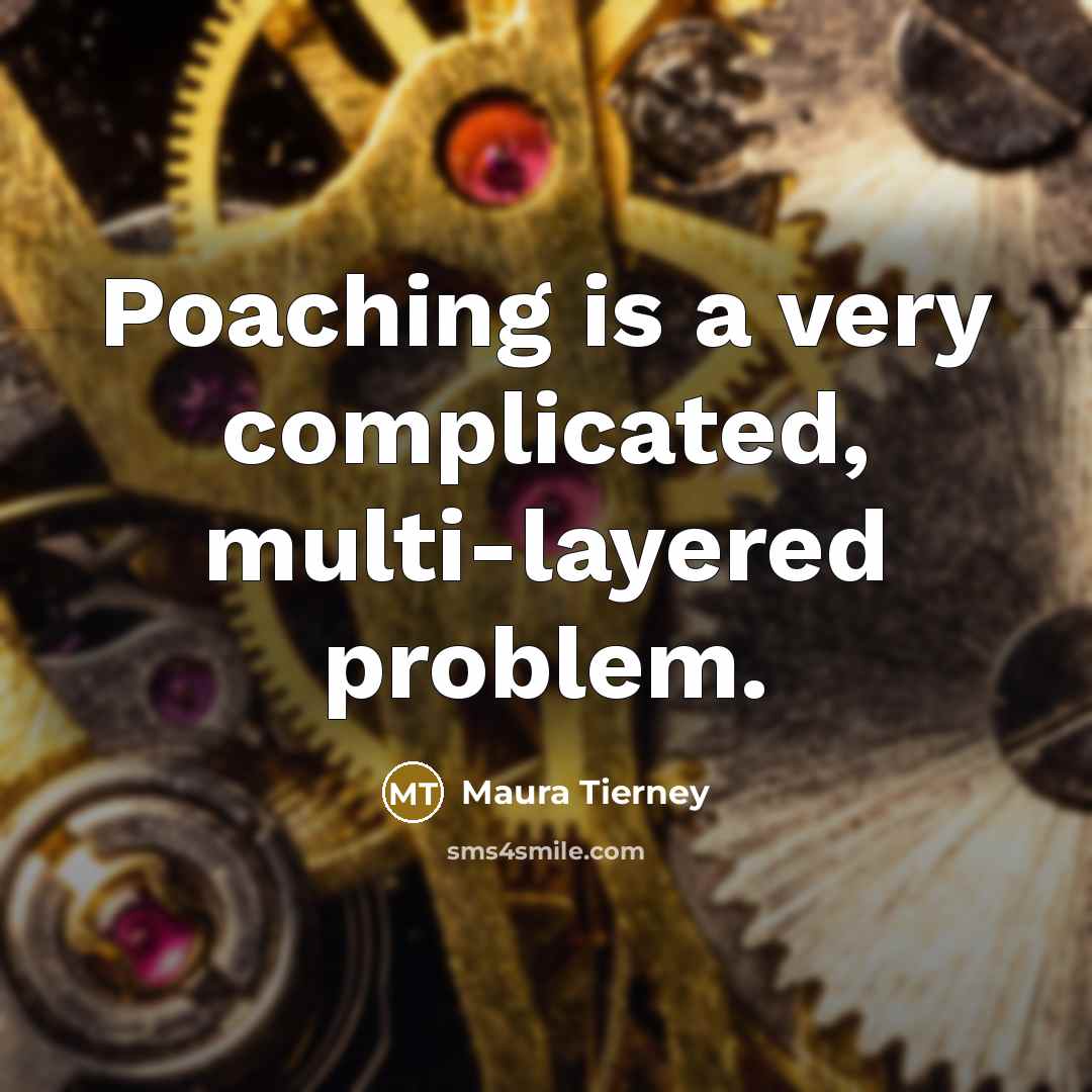“Poaching is a very complicated, multi-layered problem.” quote by Maura Tierney
