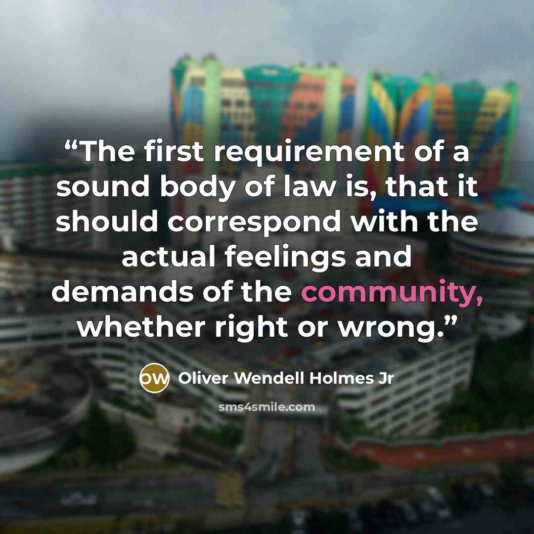 “The first requirement of a sound body of law is, that it should correspond with the actual feelings and demands of the community, whether right or wrong.” quote by Oliver Wendell Holmes Jr