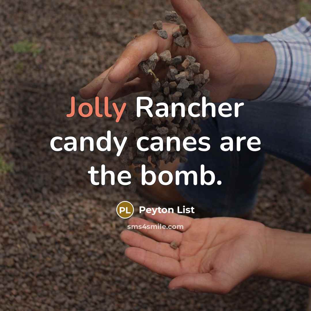 “Jolly Rancher candy canes are the bomb.” quote by Peyton List