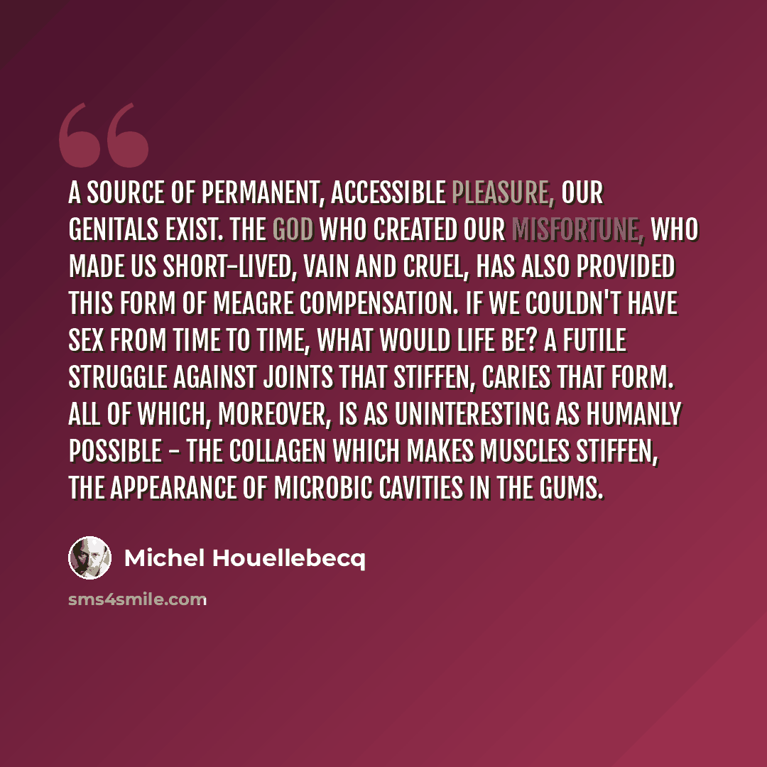 “A source of permanent, accessible pleasure, our genitals exist. The god who created our misfortune, who made us short-lived, vain and cruel, has also provided this form of meagre compensation. If we couldn't have sex from time to time, what would life be? A futile struggle against joints that…” quote by Michel Houellebecq