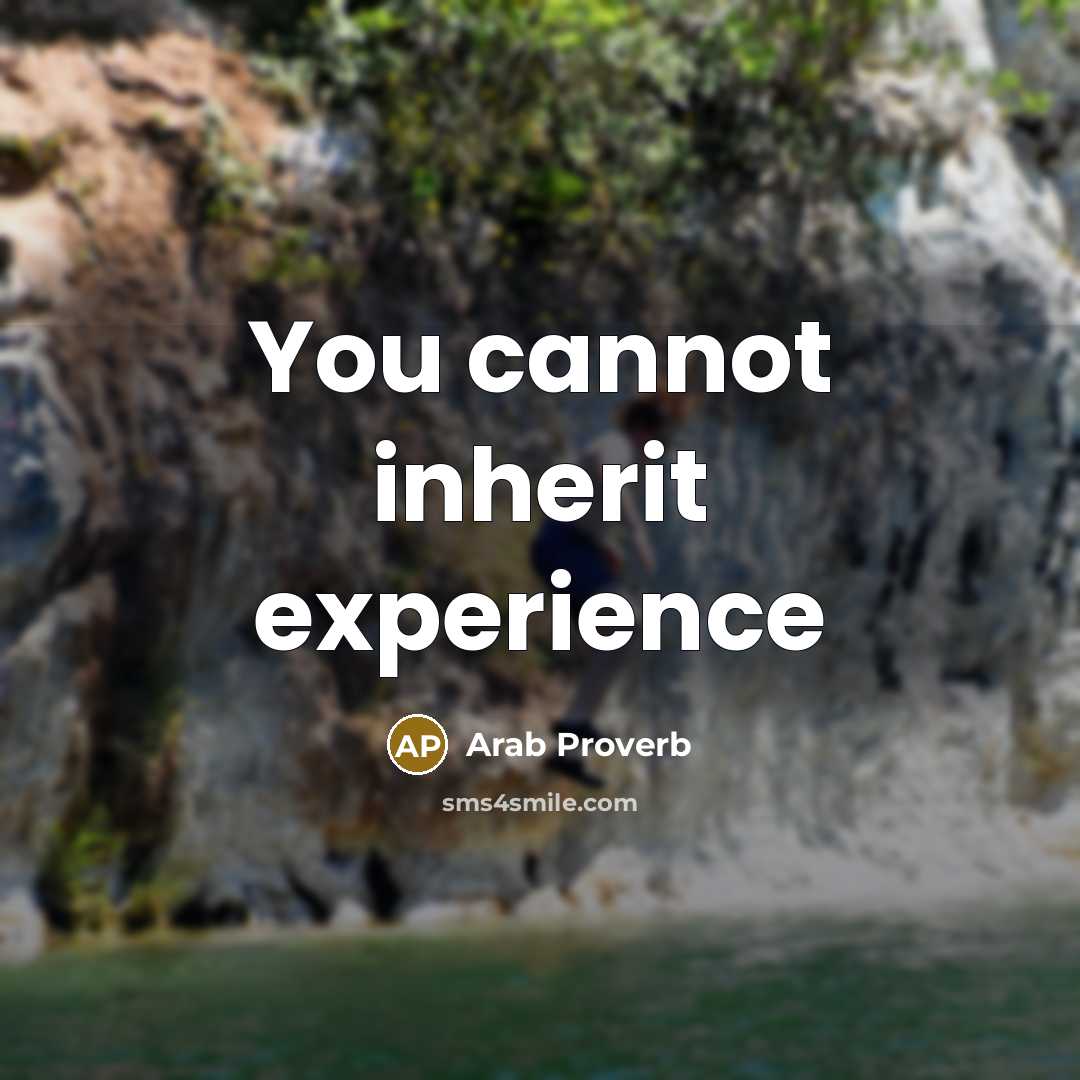 “You cannot inherit experience” quote by Arab Proverb