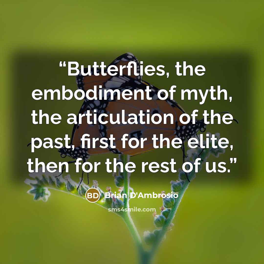 “Butterflies, the embodiment of myth, the articulation of the past, first for the elite, then for the rest of us.” quote by Brian D'Ambrosio
